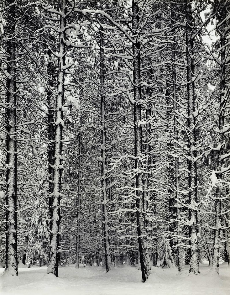 Yosemite Valley, 1960